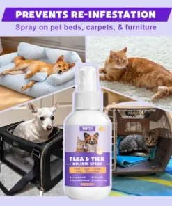 BBOJI™ Flea & Tick Kolirin Spray