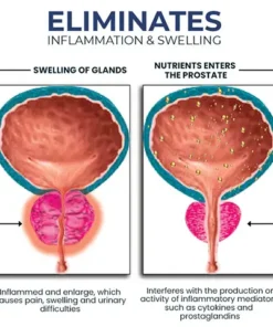 LOVILDS™ BeeBoom Nasal Inhaler For Prostate Wellness