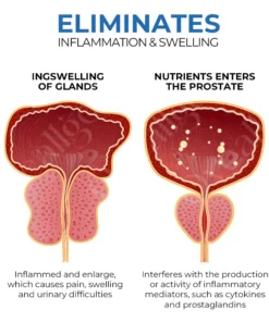 LOVILDS™ BeeEssence Nasal Inhaler For Prostate Wellness