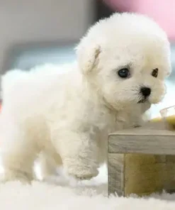 The Most Realistic Robot Puppy Ever!